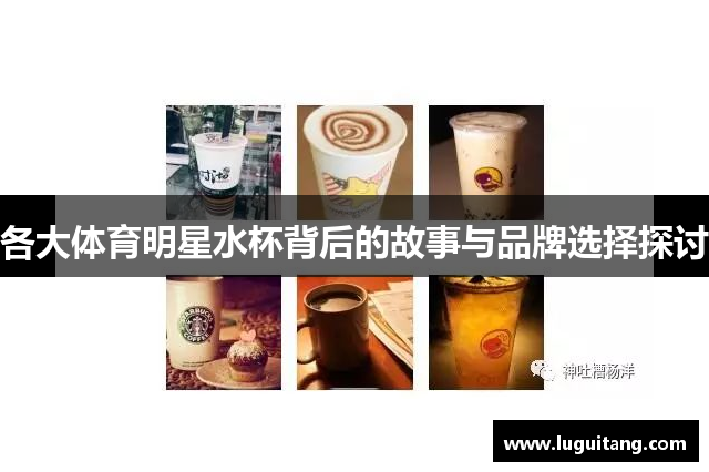 各大体育明星水杯背后的故事与品牌选择探讨