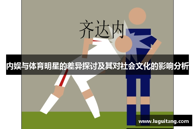 内娱与体育明星的差异探讨及其对社会文化的影响分析