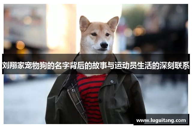 刘翔家宠物狗的名字背后的故事与运动员生活的深刻联系