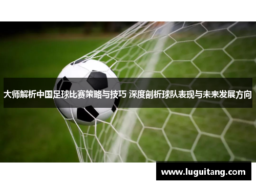 大师解析中国足球比赛策略与技巧 深度剖析球队表现与未来发展方向